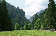 Tatry lato, Stare Koscieliska w Dolinie Koscieliskiej.