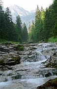 Tatry, lato. Dolina Strazyska, Strazyski Potok, w tle Giewont.