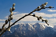 Tatry, wiosna 2004, w tle Giewont, jeszcze w zimowej szacie.