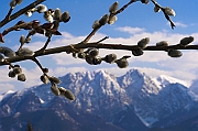 Tatry, wiosna 2004, w tle Giewont, jeszcze w zimowej szacie.