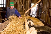 Polska, Witow Dlugoszowka, szalas - bacowka, sery owcze, oscypki, agroturystyka. Fot. Marcin Jozefowicz / REPORTER .